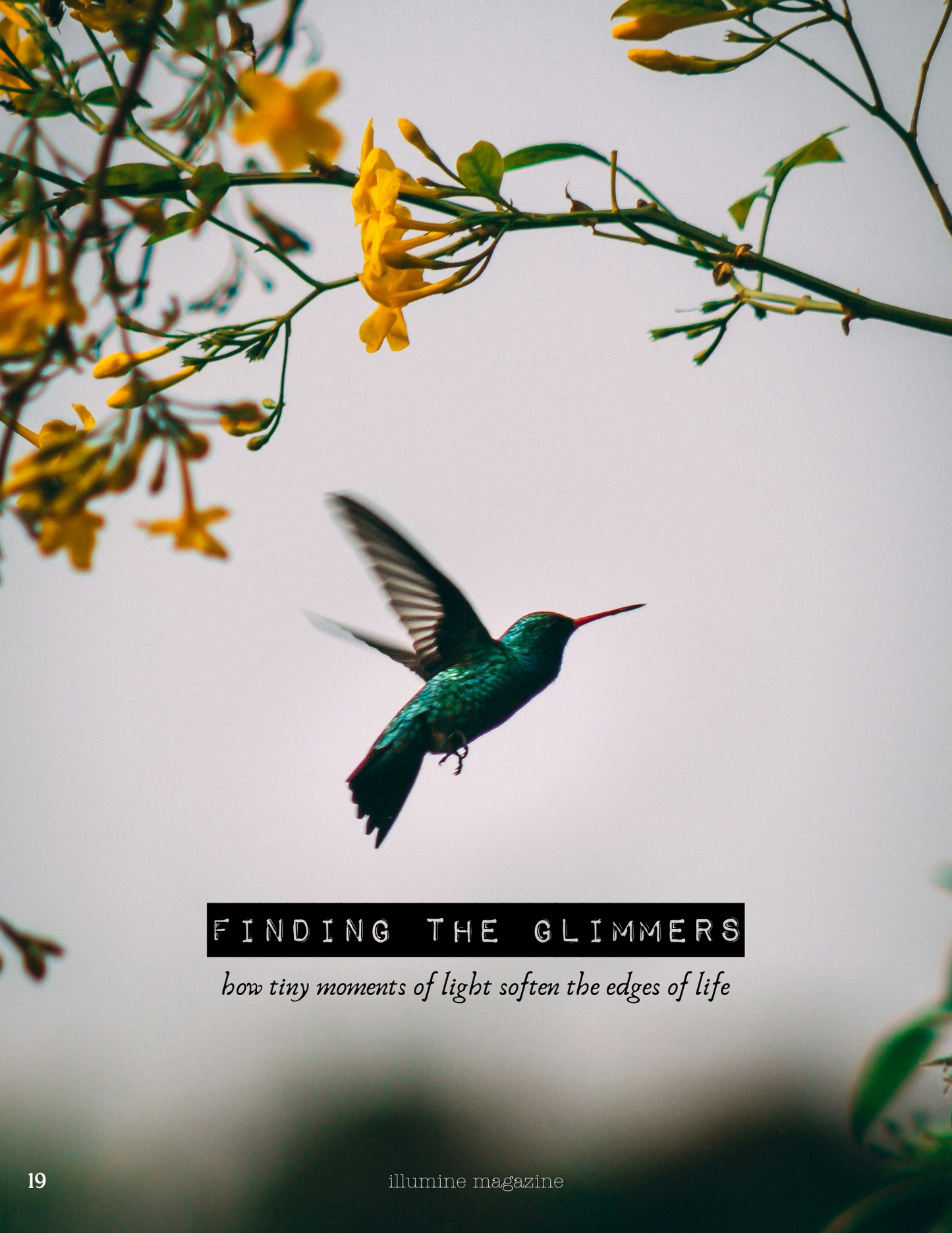 Illumine Magazine | August 2025 - Issue No. 08 | Print Issue