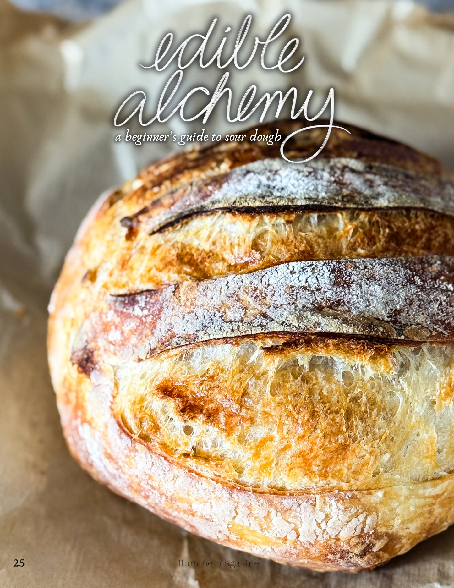 Illumine Magazine | April 2025 - Issue No. 04 | Digital Issue