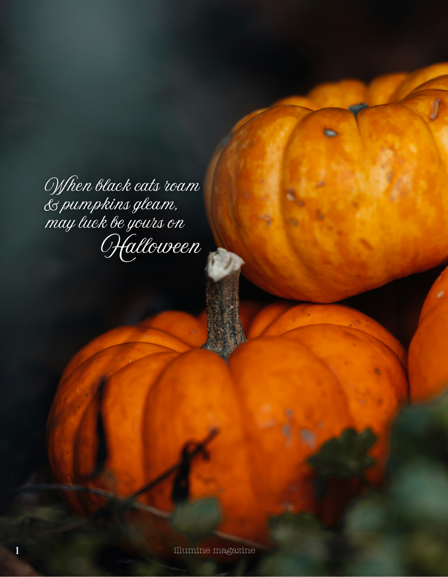 Illumine Magazine | October 2025 - Issue No. 10 | Print Issue