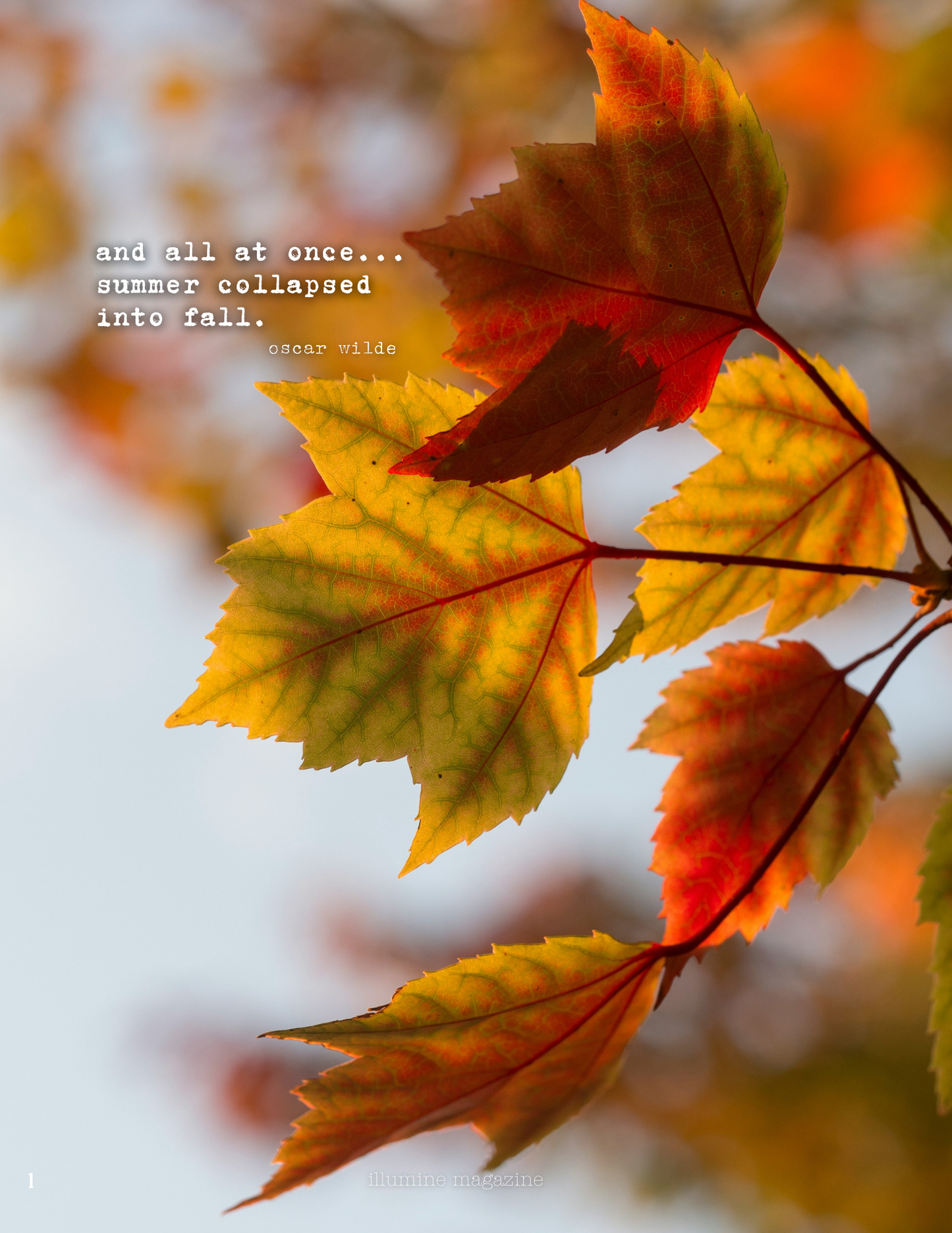 Illumine Magazine | September 2025 - Issue No. 08 | Print Issue