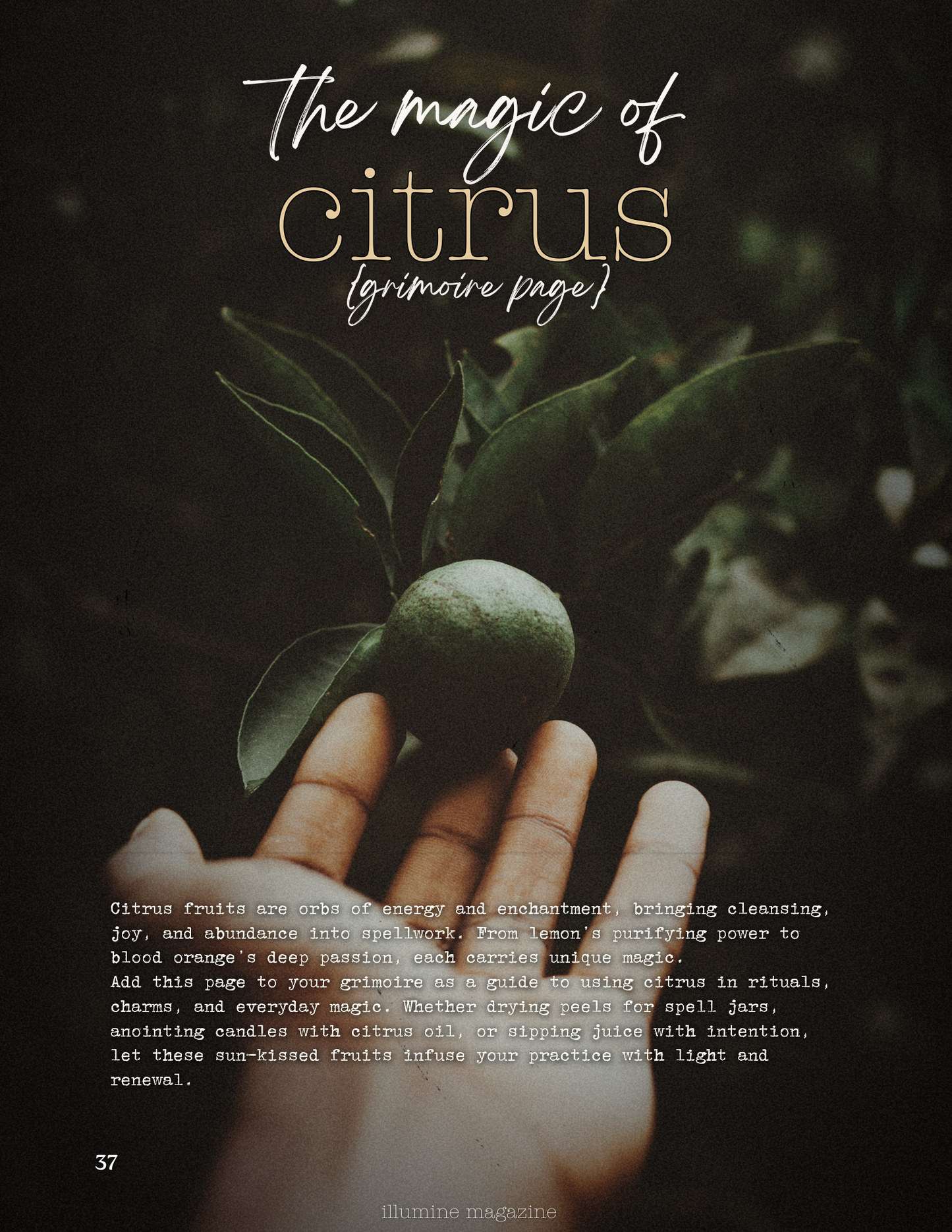 Illumine Magazine | February 2025 - Issue No. 02 | Print Copy