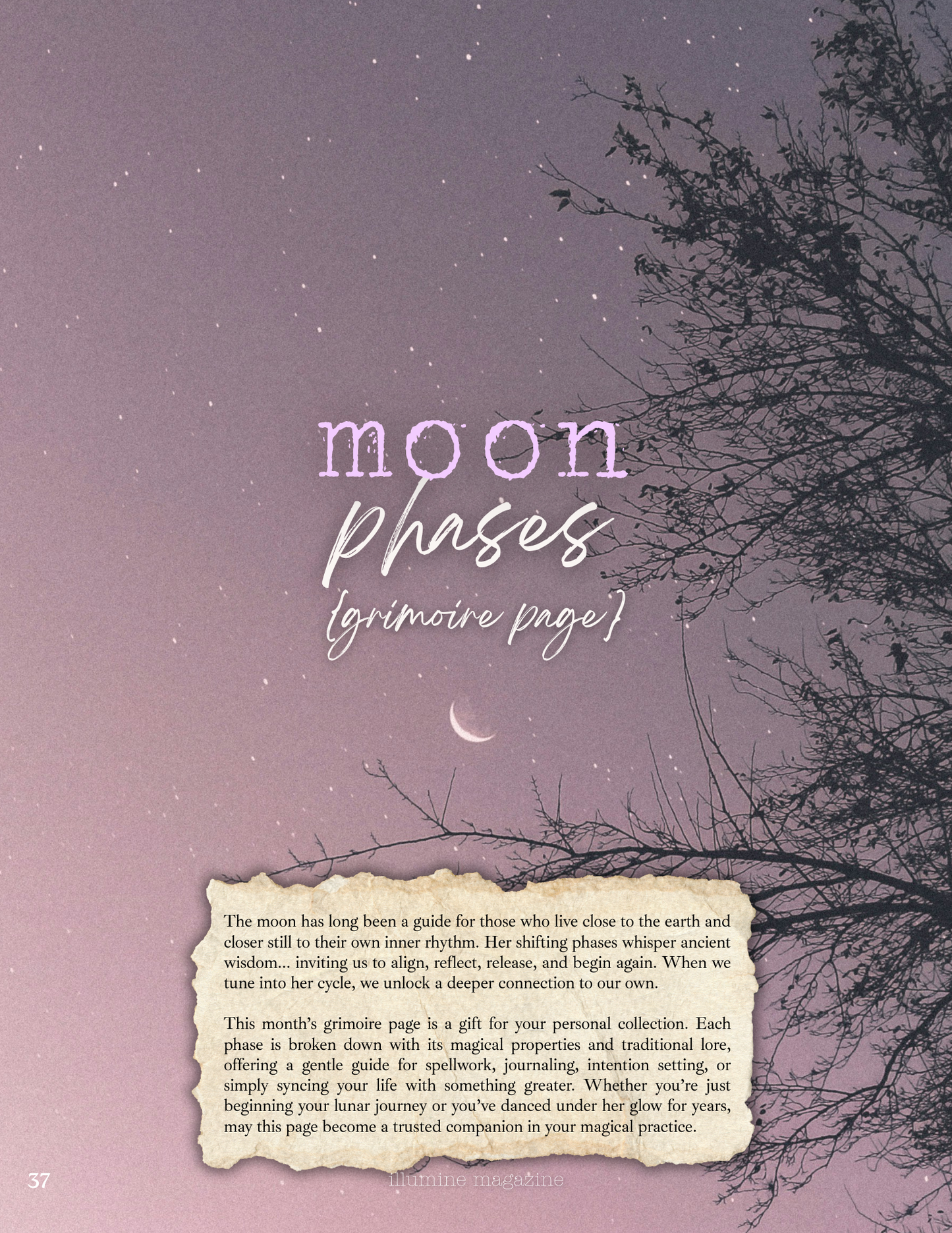 Illumine Magazine | May 2025 - Issue No. 05 | Print Copy
