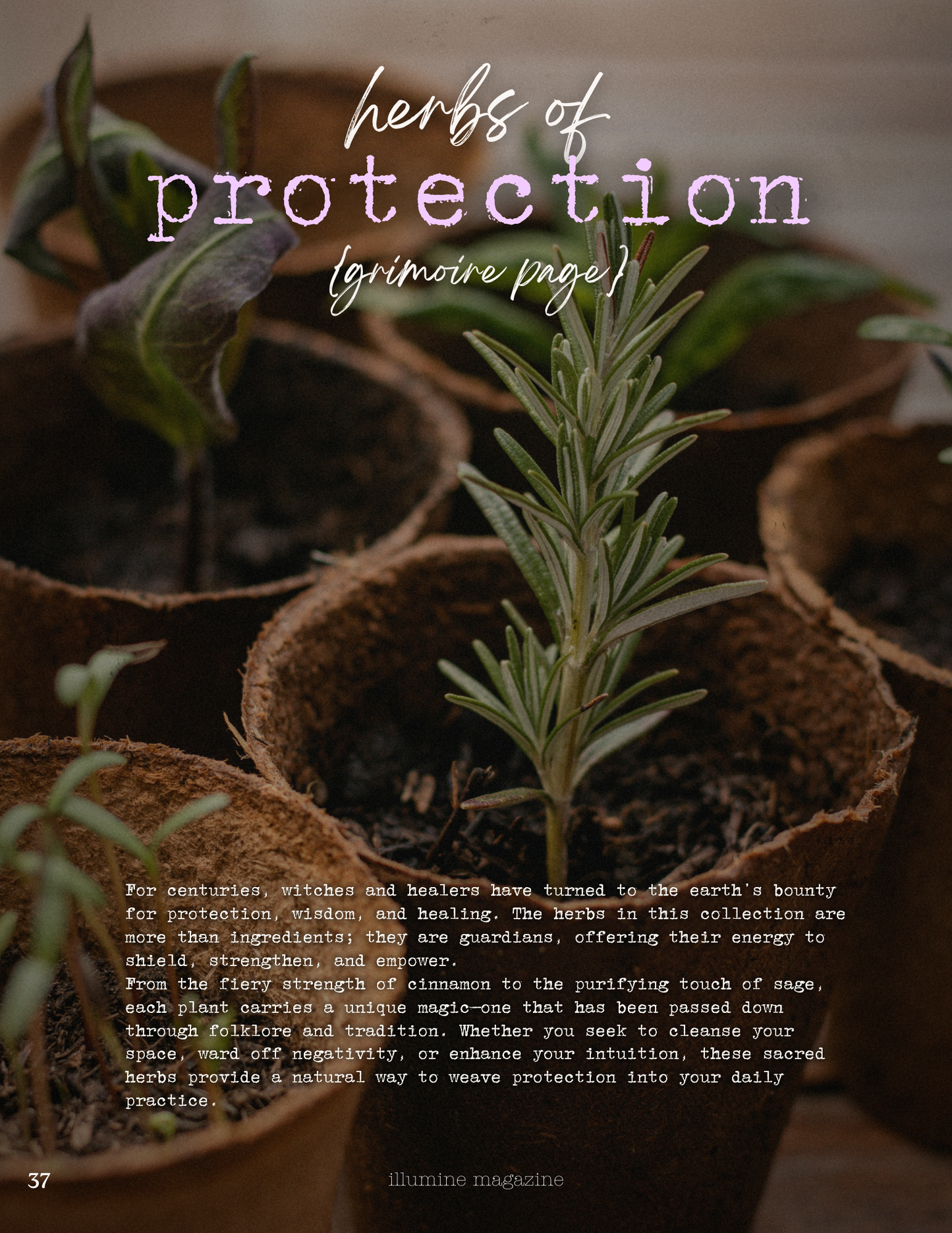 Illumine Magazine | April 2025 - Issue No. 04 | Digital Issue
