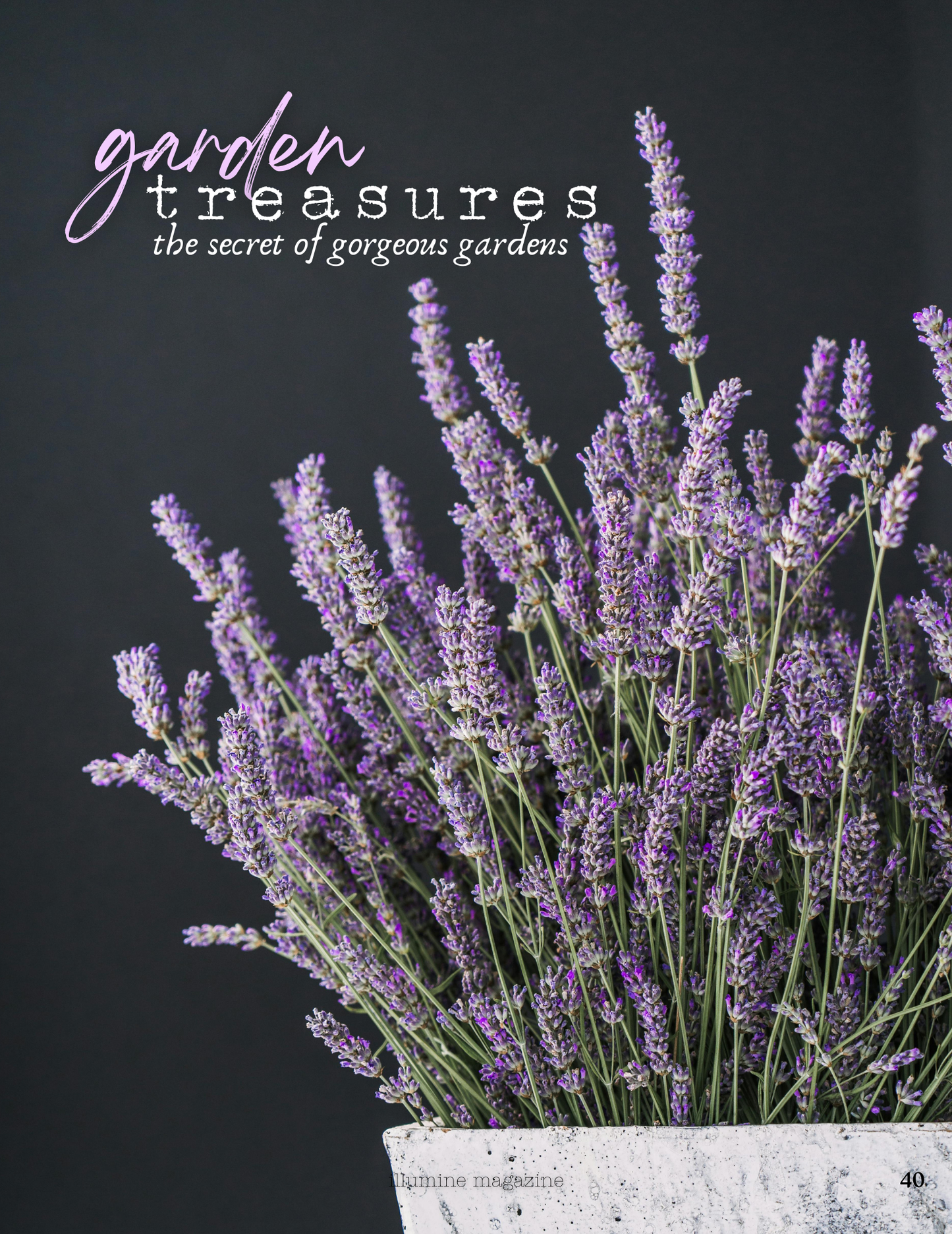 Illumine Magazine | April 2025 - Issue No. 04 | Digital Issue