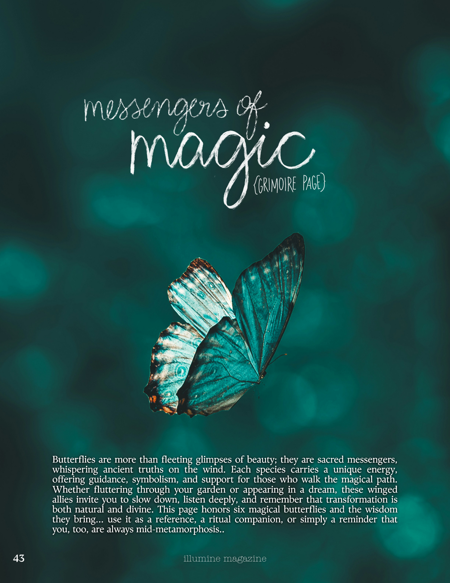 Illumine Magazine | July 2025 - Issue No. 07 | Print Copy
