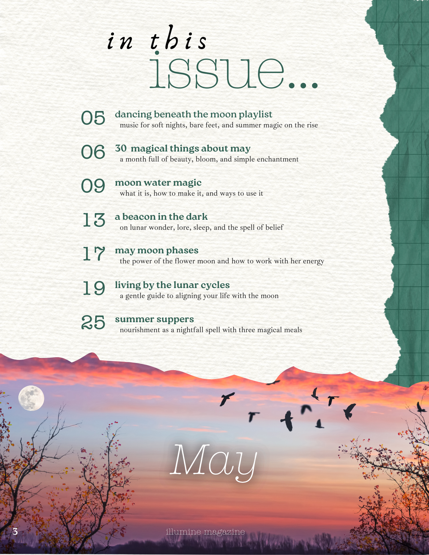 Illumine Magazine | May 2025 - Issue No. 05 | Digital Issue