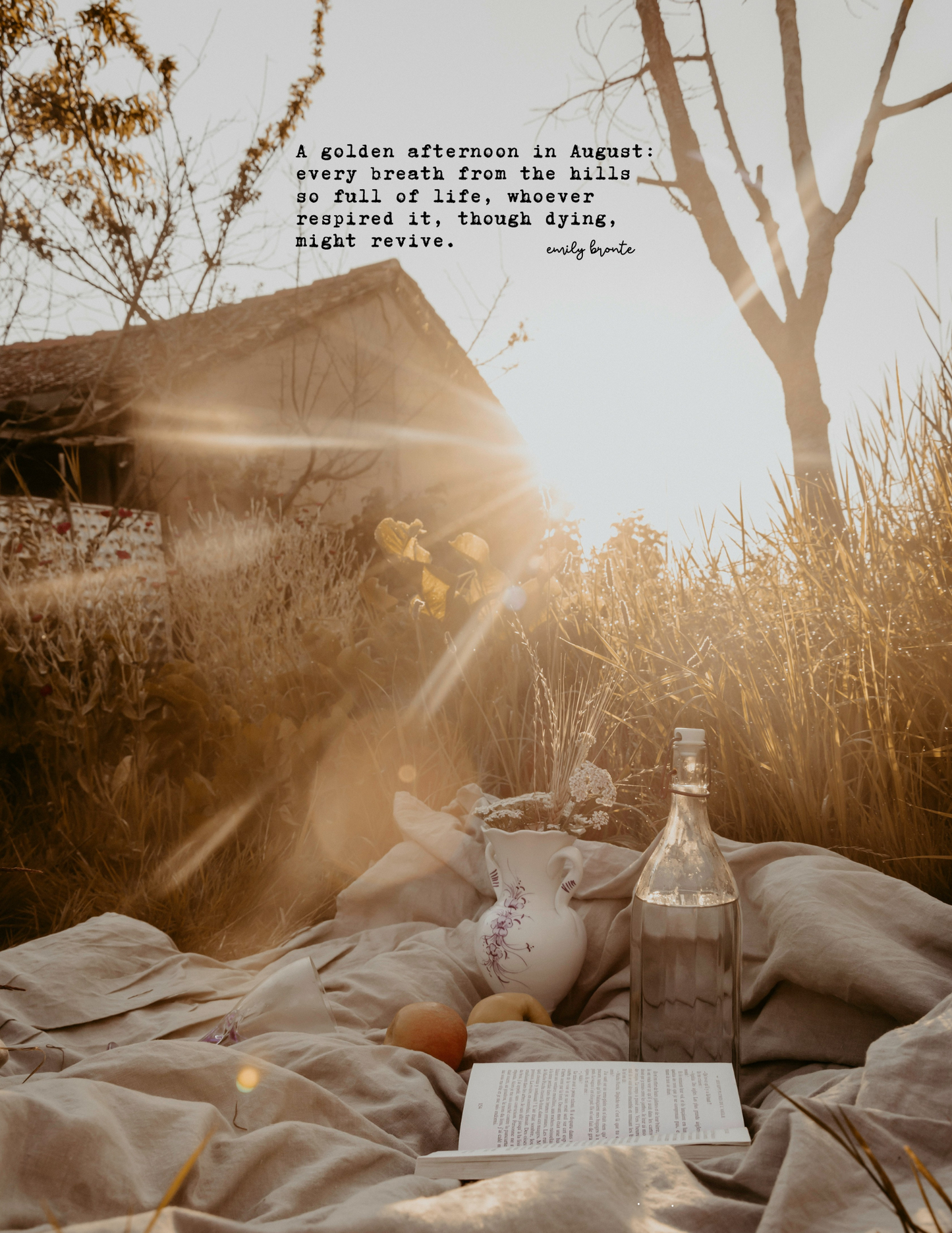 Illumine Magazine | August 2025 - Issue No. 08 | Print Issue