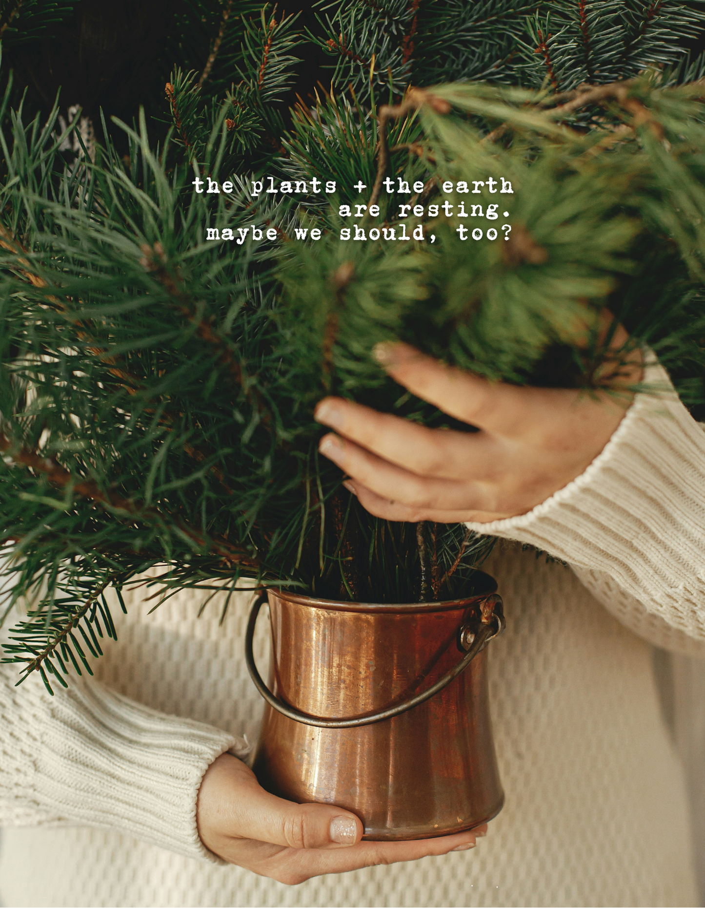 Illumine Magazine | December 2025 - Issue No. 12 | Print Issue