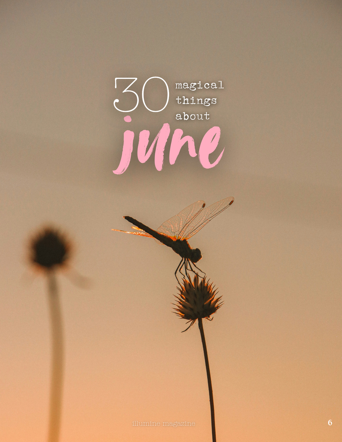 Illumine Magazine | June 2025 - Issue No. 06 | Digital Issue
