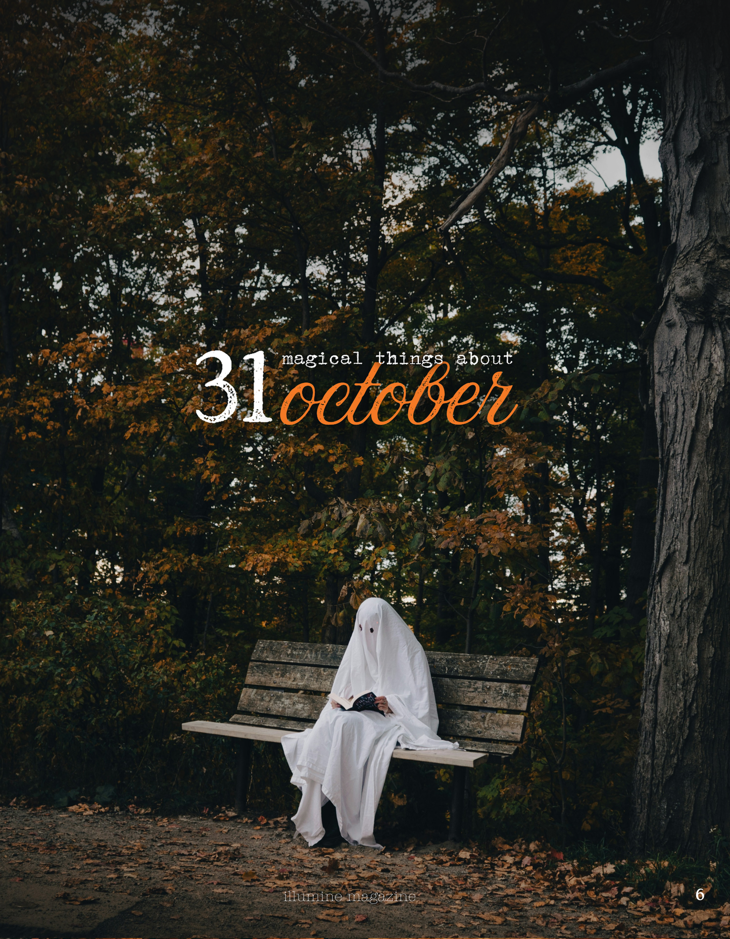 Illumine Magazine | October 2025 - Issue No. 10 | Print Issue