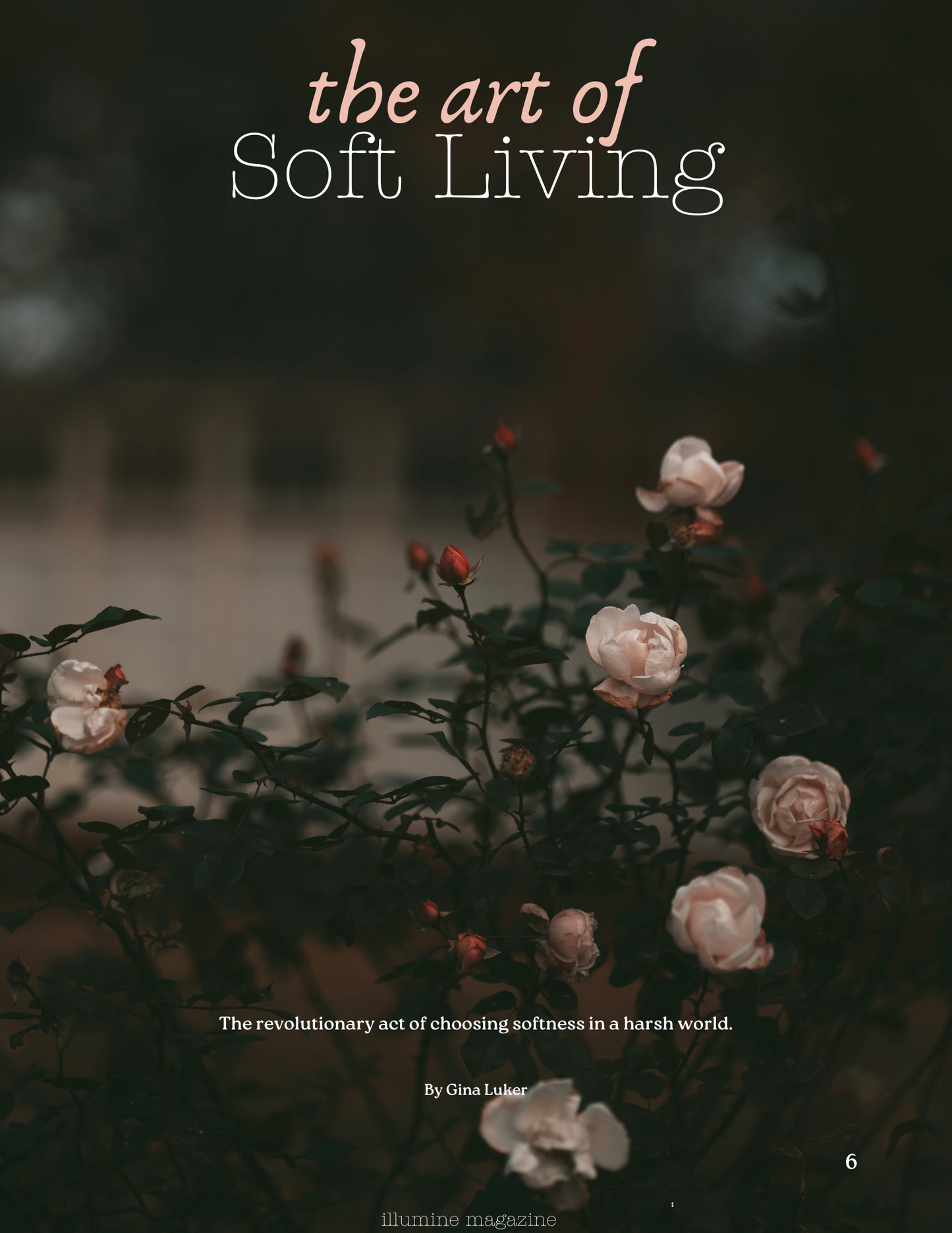 Illumine Magazine | January 2025 - Issue No. 01 | Digital Issue