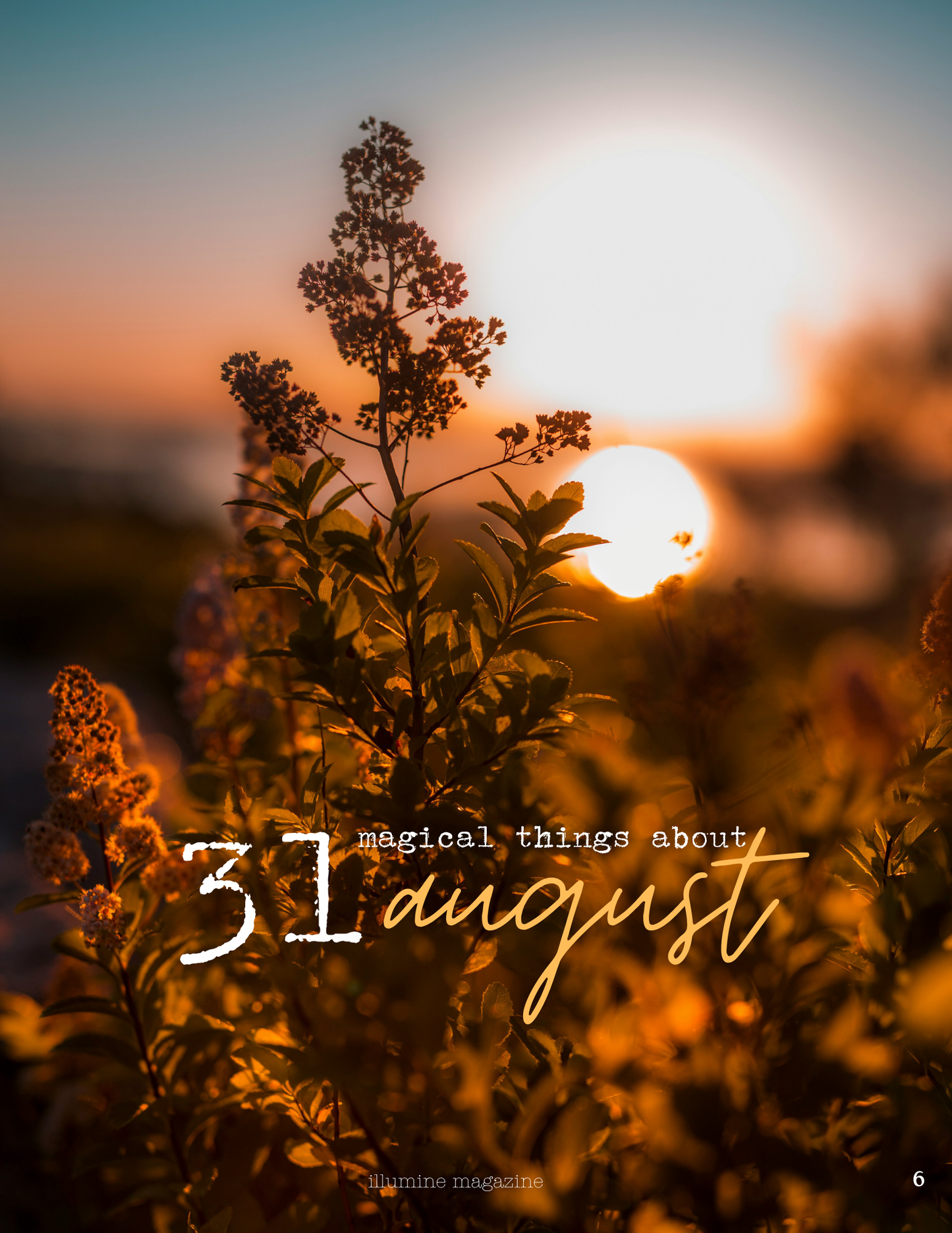 Illumine Magazine | August 2025 - Issue No. 08 | Digital Issue
