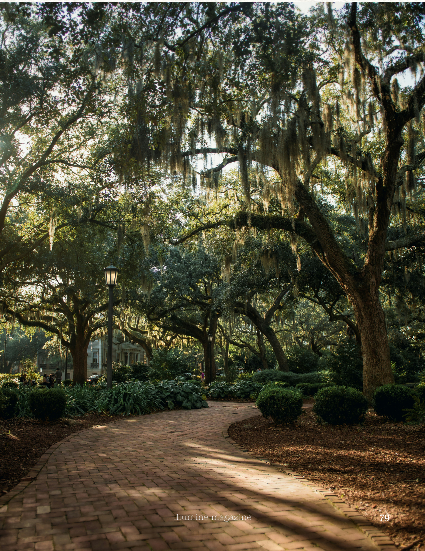 Illumine Magazine | March 2026 - Issue No. 15 | Digital Issue