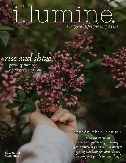 Illumine Magazine | April 2025 - Issue No. 04 | Digital Issue