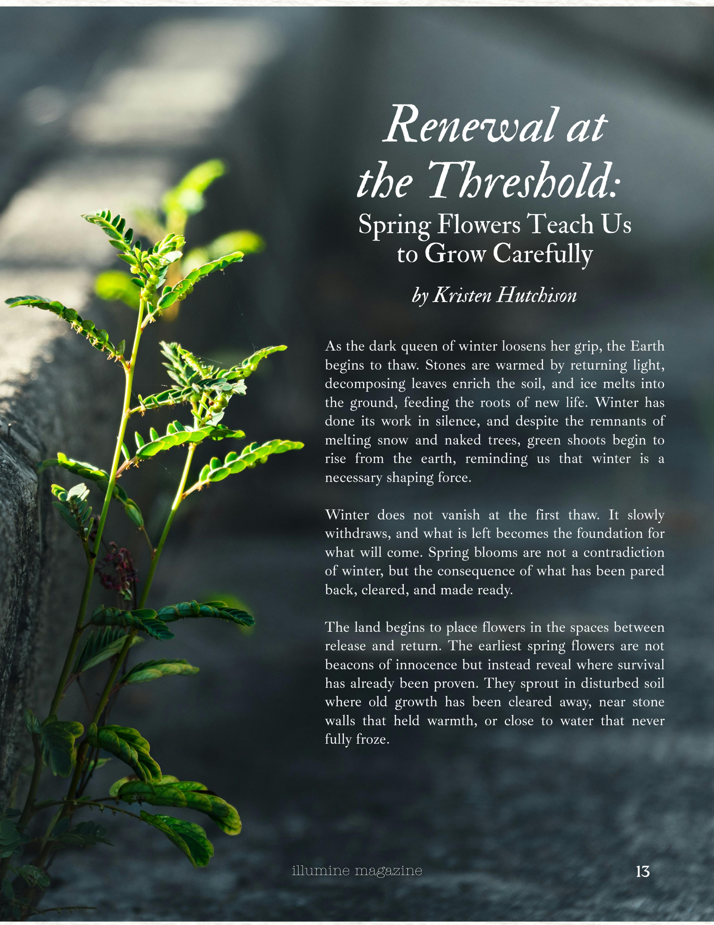 Illumine Magazine | March 2026 - Issue No. 15 | Digital Issue