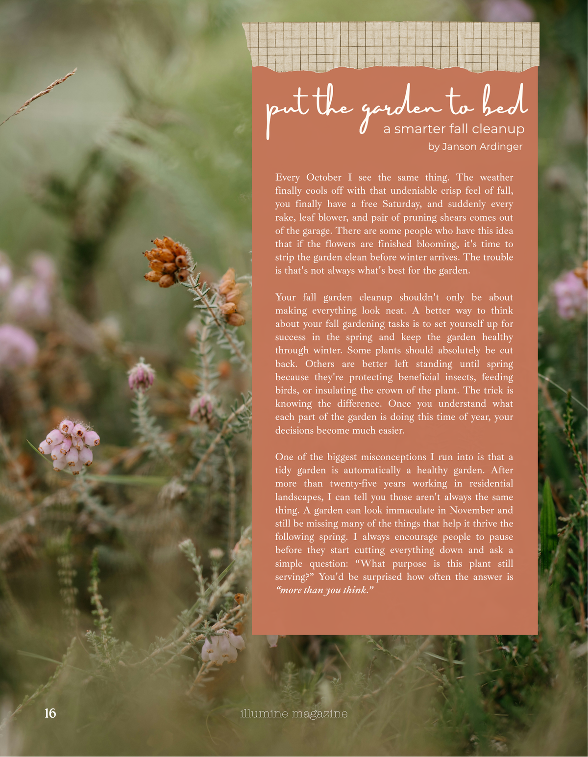 Illumine Magazine | October 2026 - Issue No. 22 | Digital Issue