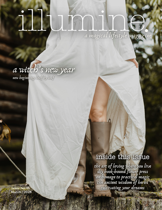Illumine Magazine | March 2026 - Issue No. 15 | Print Issue