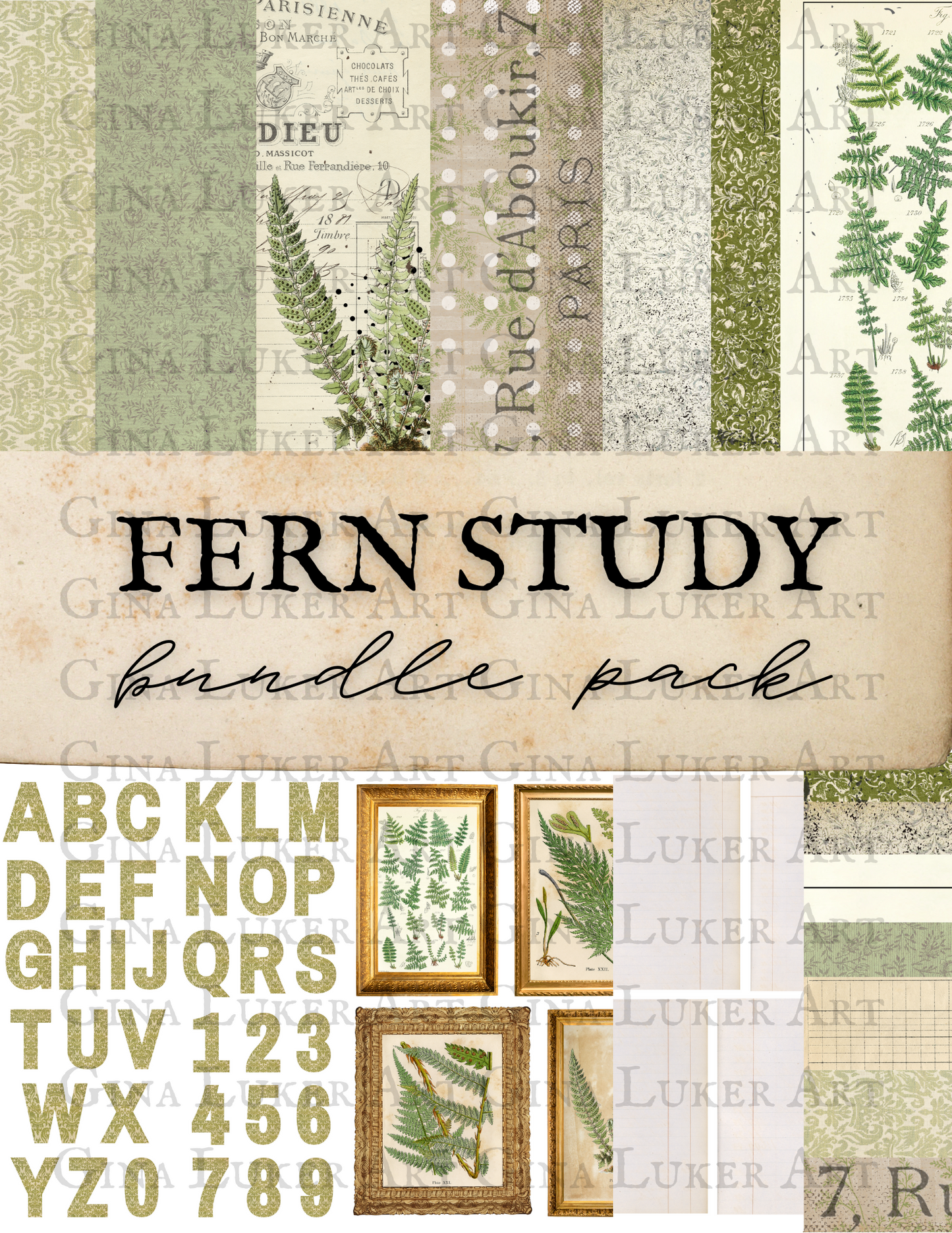 Fern Study Bundle Pack