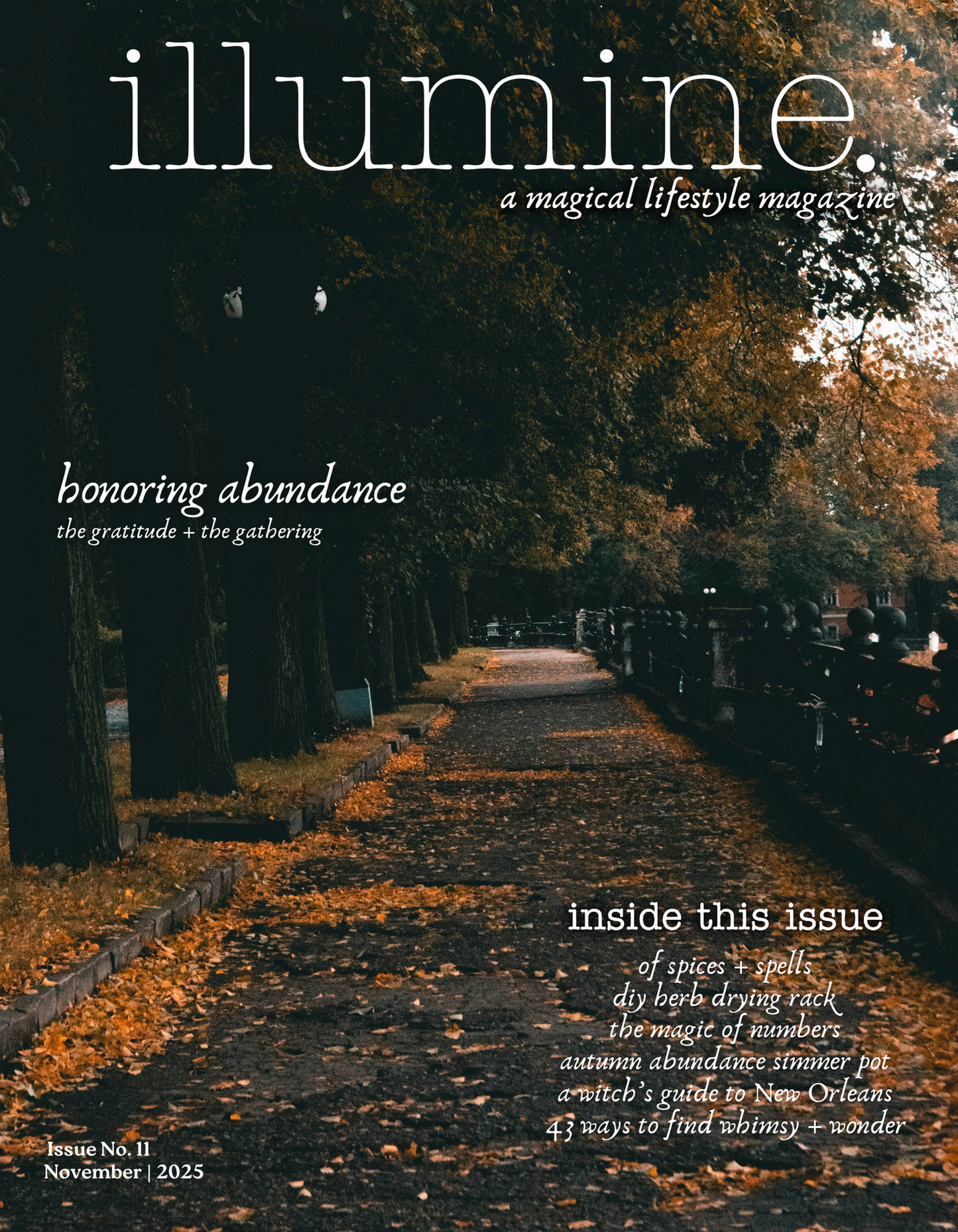 Illumine Magazine | November 2025 - Issue No. 11 | Print Issue
