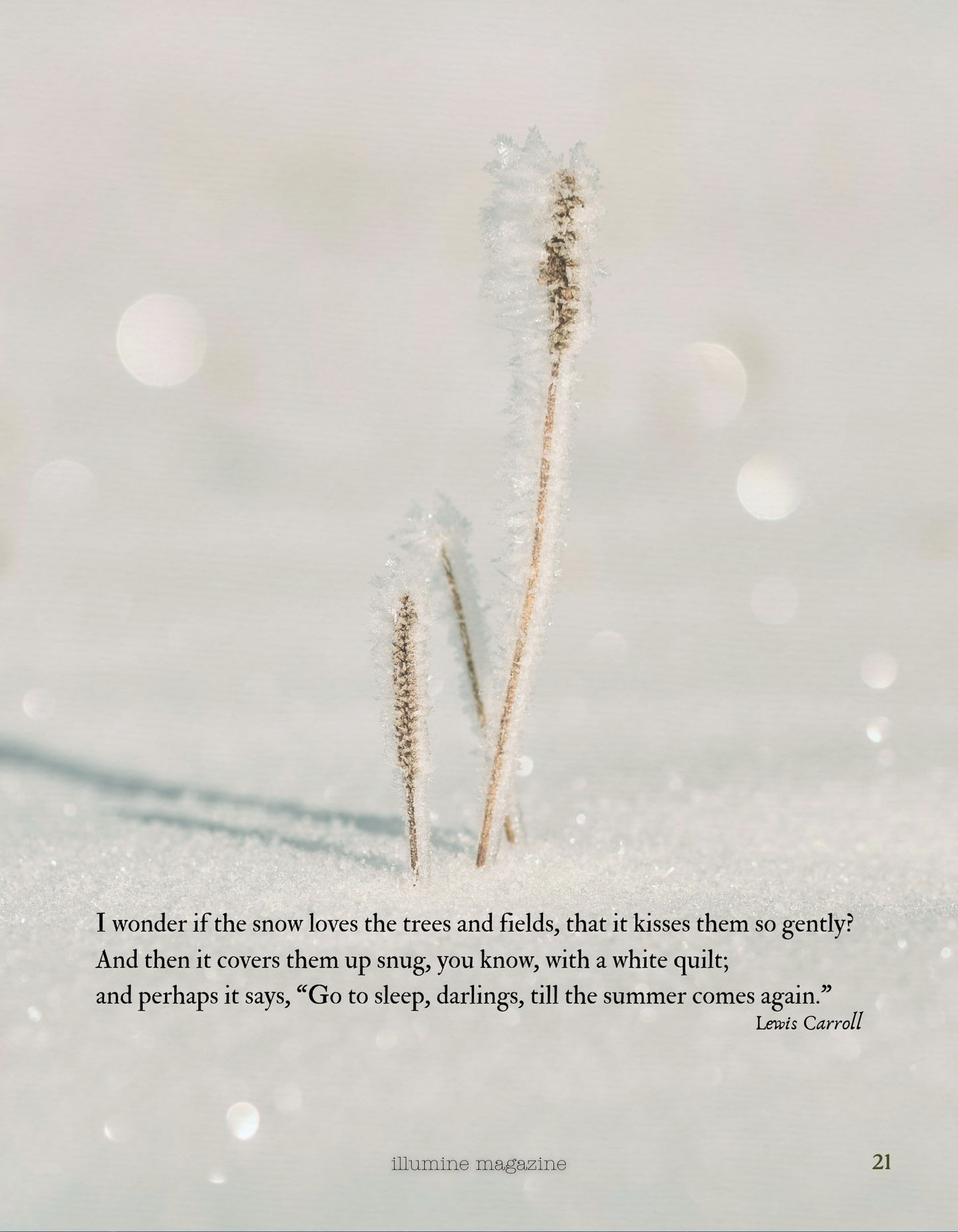 Illumine Magazine | January 2026 - Issue No. 13 | Print Issue