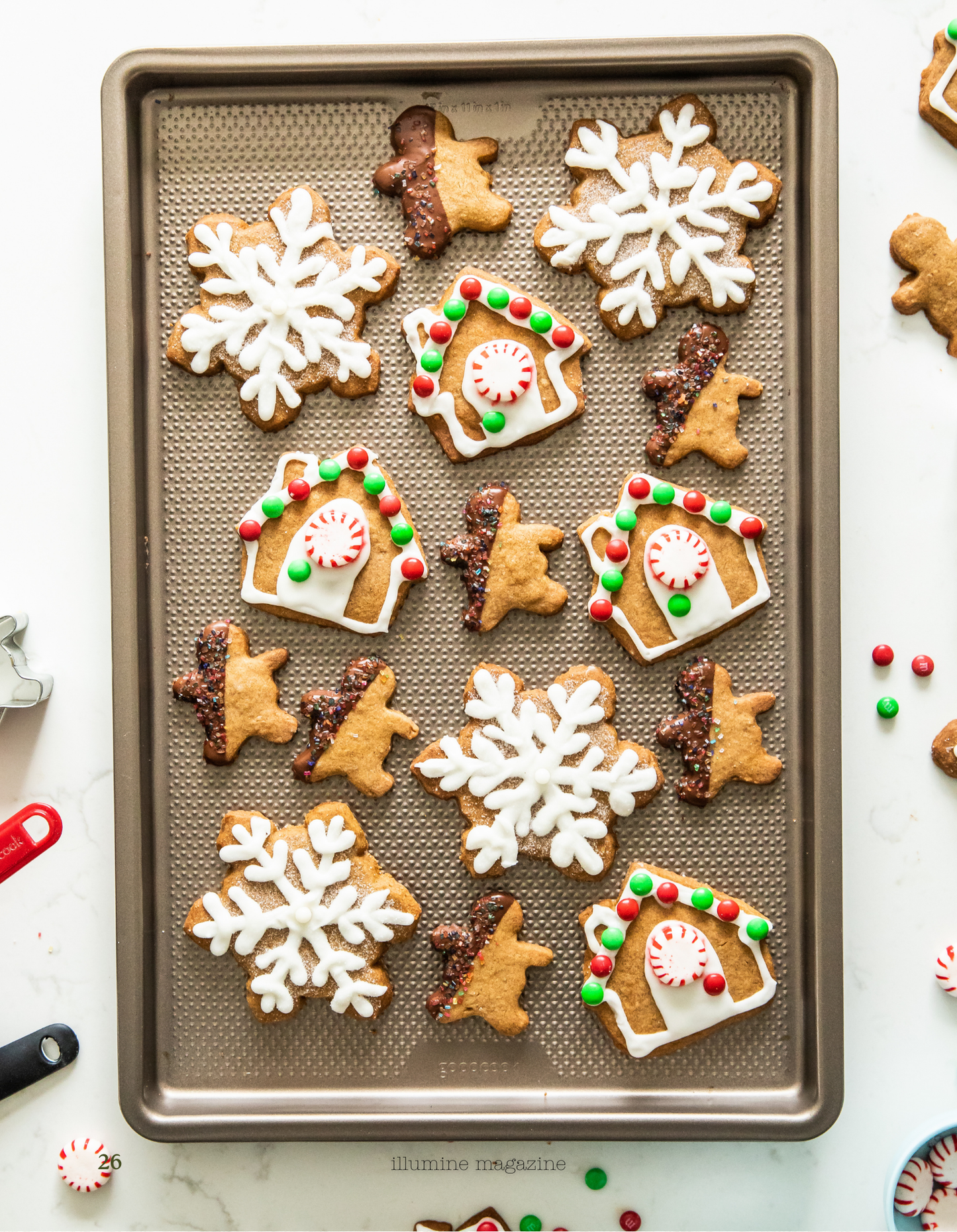 Illumine Magazine | December 2025 - Issue No. 12 | Print Issue