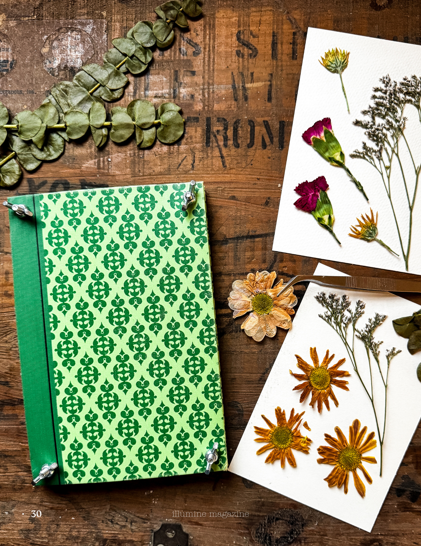 Illumine Magazine | March 2026 - Issue No. 15 | Digital Issue