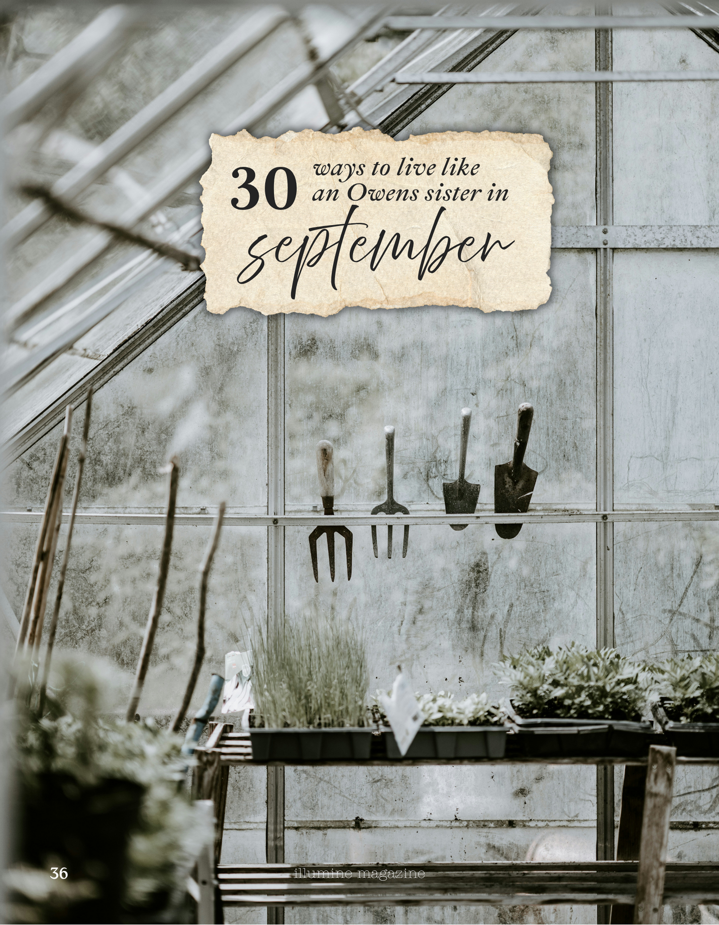 Illumine Magazine | September 2026 - Issue No. 21 | Digital Issue