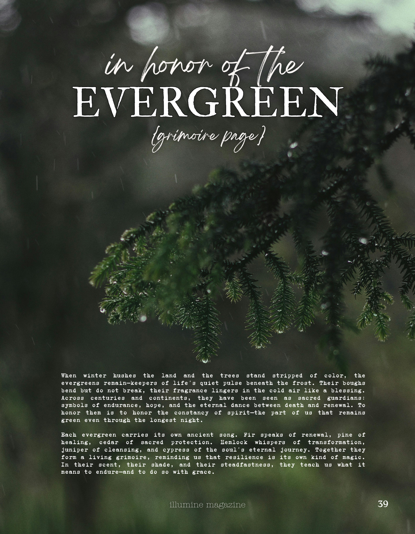 Illumine Magazine | December 2025 - Issue No. 12 | Print Issue