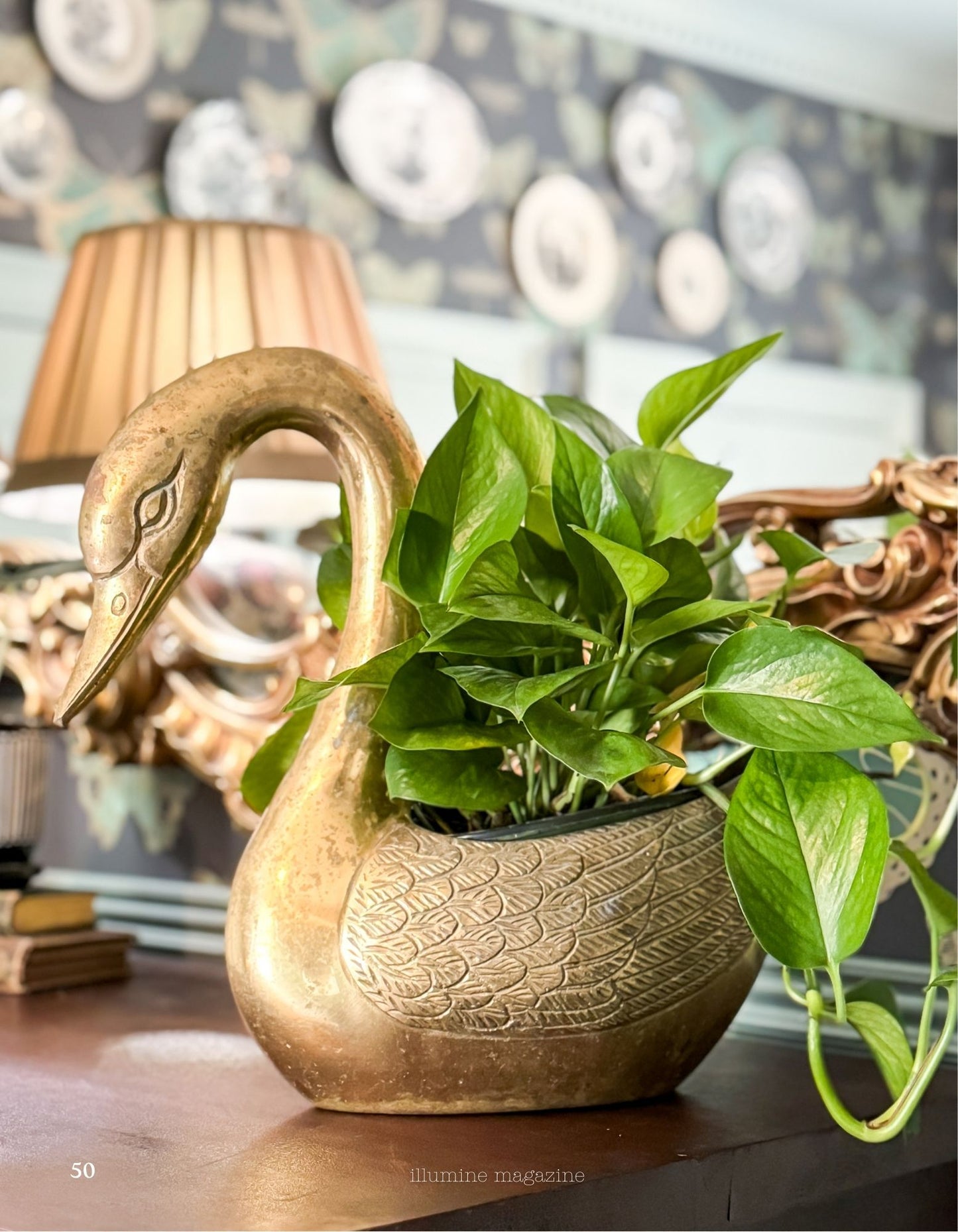 Illumine Magazine | February 2026 - Issue No. 14 | Digital Issue