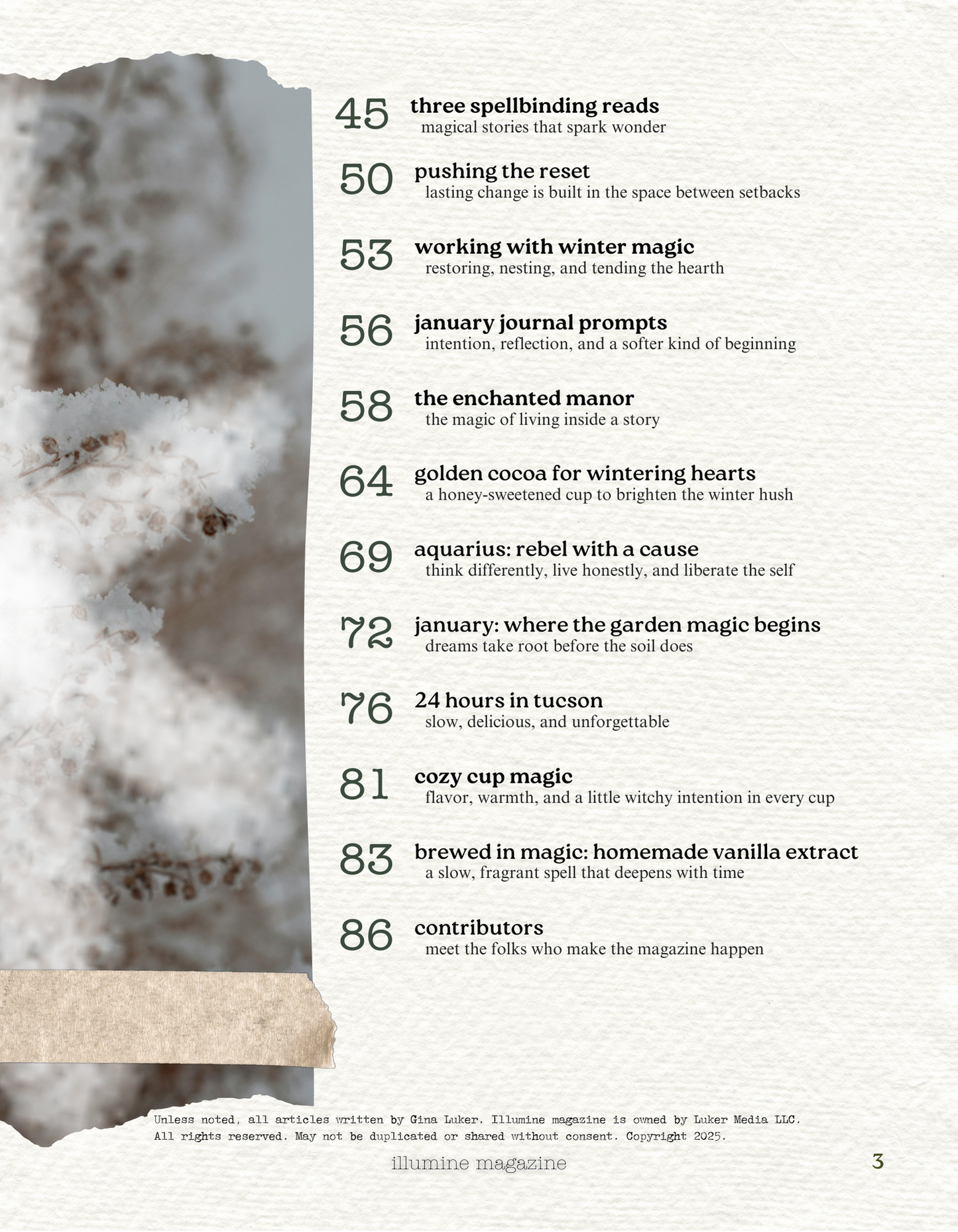 Illumine Magazine | January 2026 - Issue No. 13 | Digital Issue