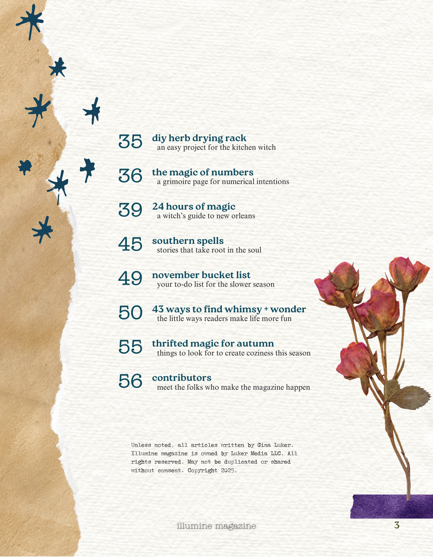 Illumine Magazine | November 2025 - Issue No. 11 | Print Issue