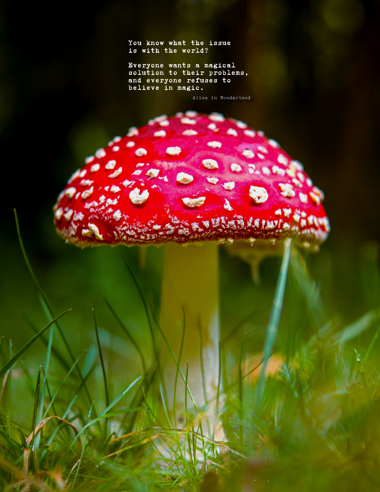 Illumine Magazine | September 2025 - Issue No. 09 | Digital Issue