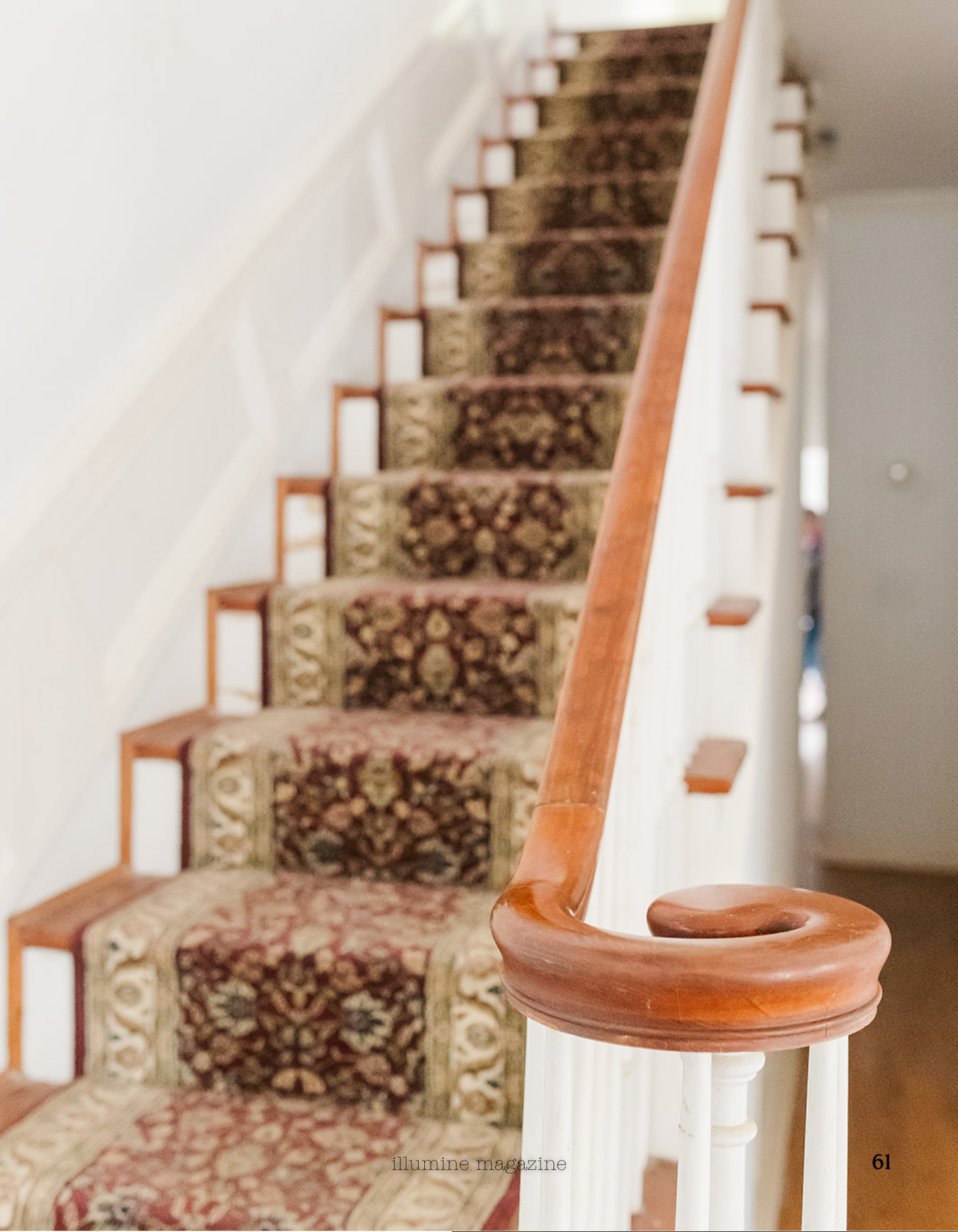 Illumine Magazine | January 2026 - Issue No. 13 | Digital Issue