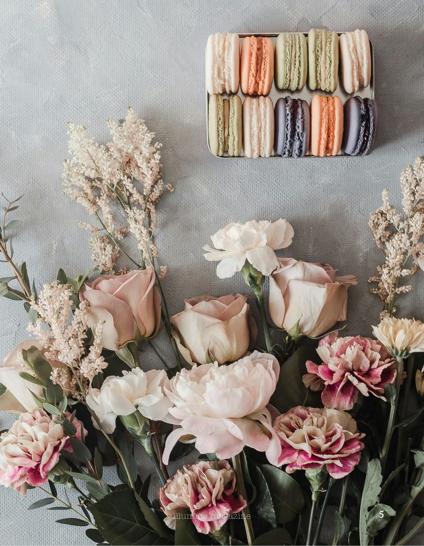 Illumine Magazine | February 2026 - Issue No. 14 | Digital Issue