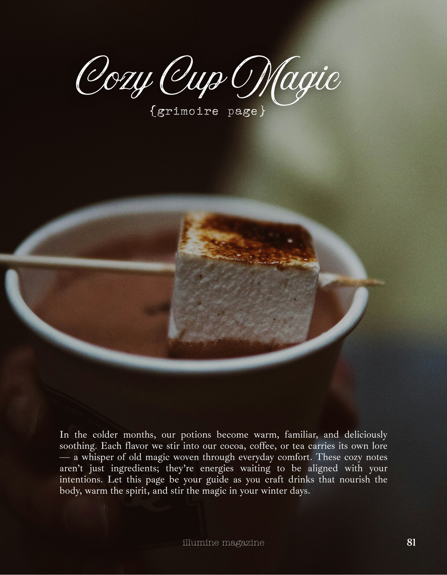 Illumine Magazine | January 2026 - Issue No. 13 | Print Issue