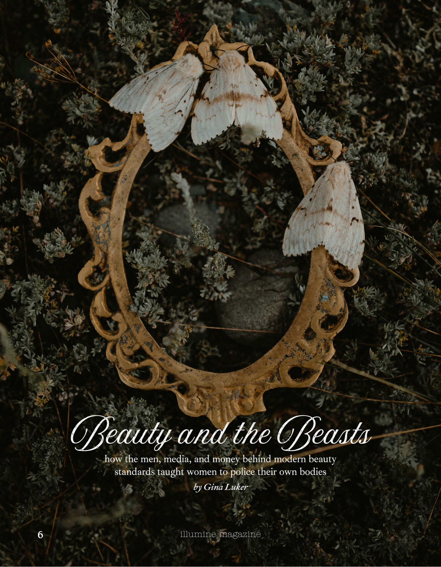Illumine Magazine | May 2026 - Issue No. 17 | Digital Issue