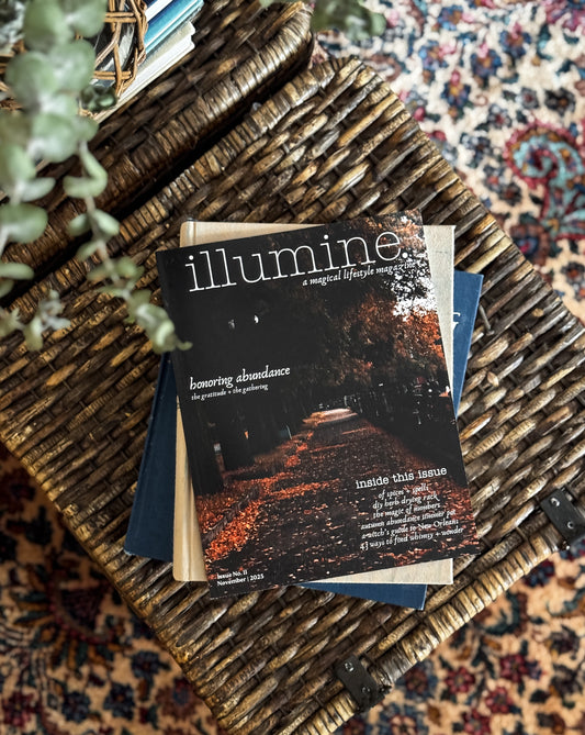 Illumine Magazine | November 2025 - Issue No. 11 | Print Issue