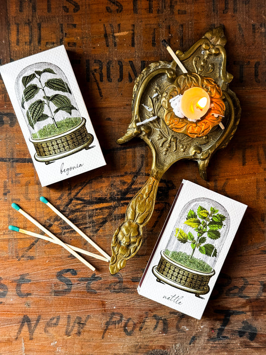 Botanical Long Matches | Begonia + Nettle | Box of 50