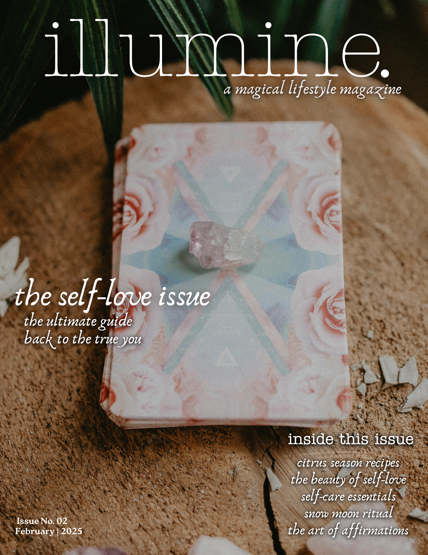 Illumine Magazine | February 2025 - Issue No. 02 | Digital Issue