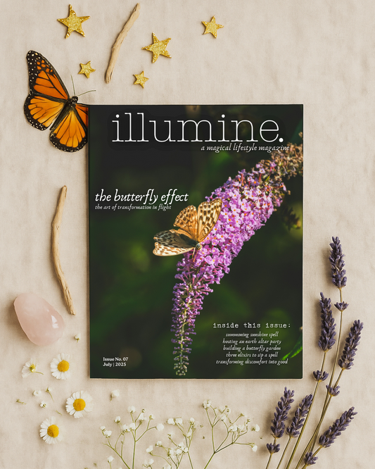 Illumine Magazine | July 2025 - Issue No. 07 | Print Copy